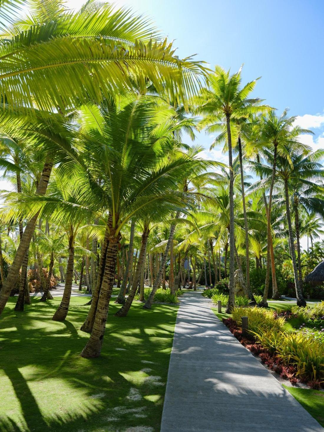 Le Bora Bora By Pearl Resorts Esterno foto