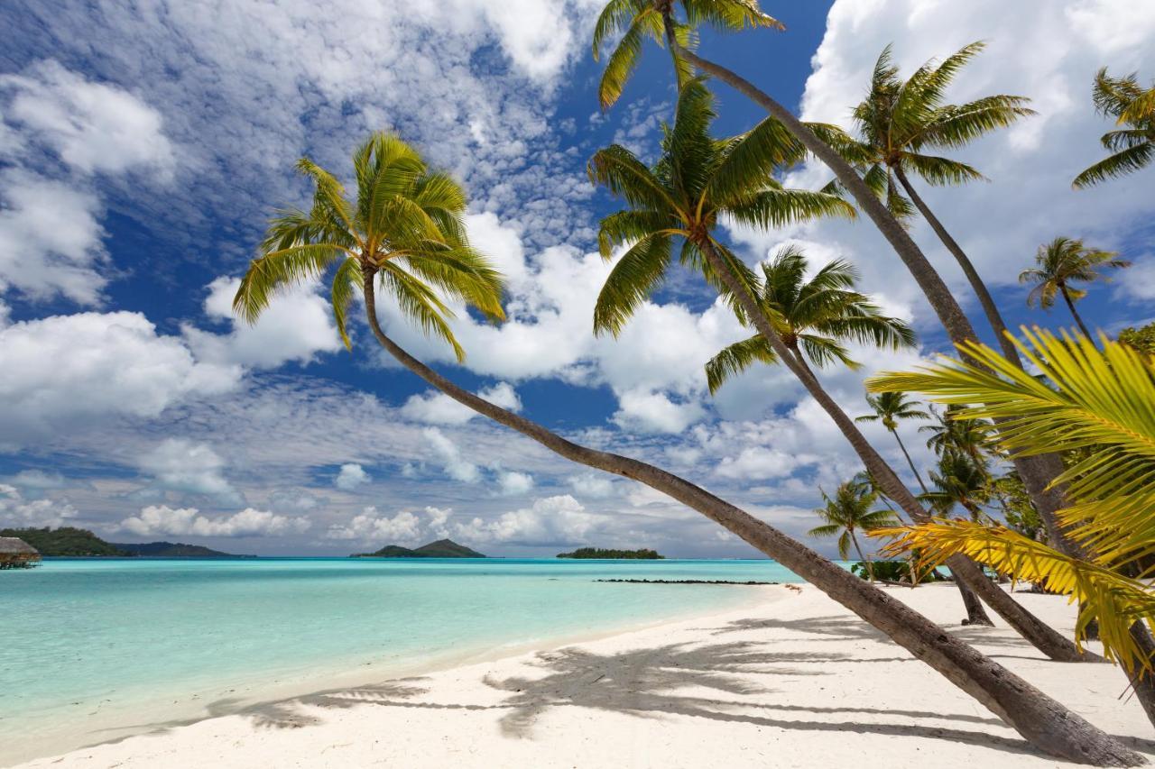 Le Bora Bora By Pearl Resorts Esterno foto